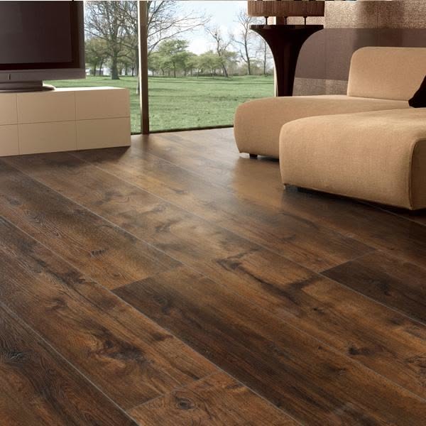 Modern Living Room with Dark Wood Flooring