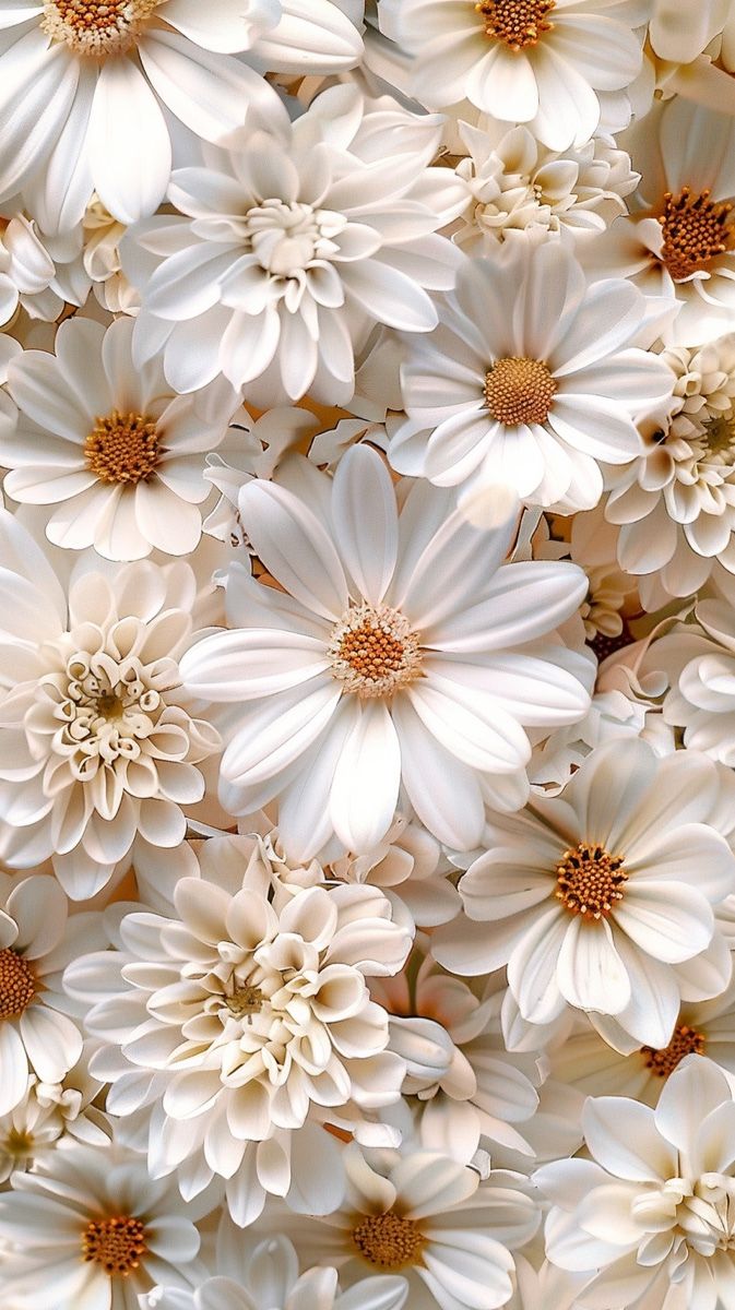 Elegant White Daisies and Dahlias Close-Up Floral Photo