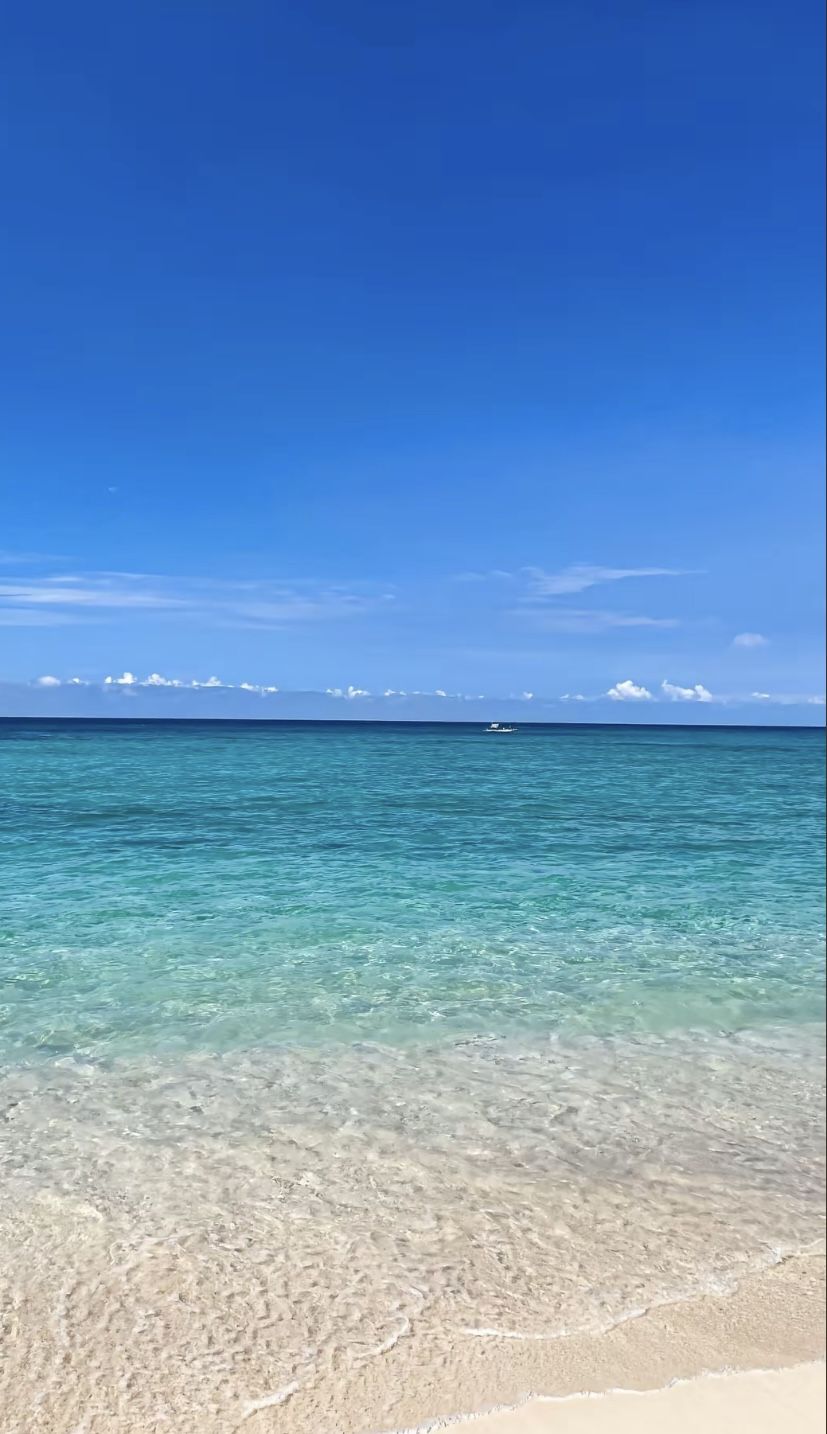Serene Tropical Beach with Clear Blue Waters