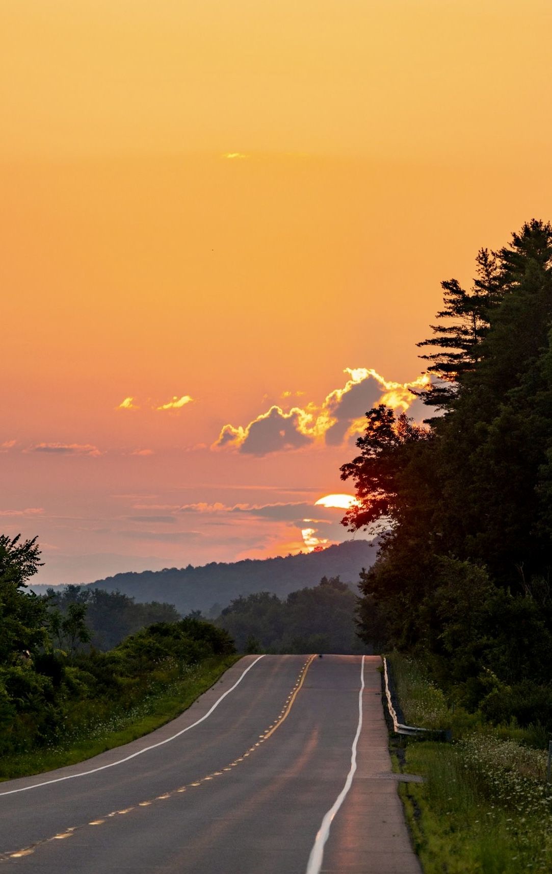 Serene Countryside Road at Sunset with Forest Silhouette